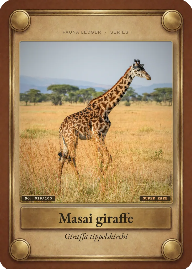 Masai giraffe card, front