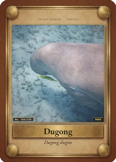 Dugong