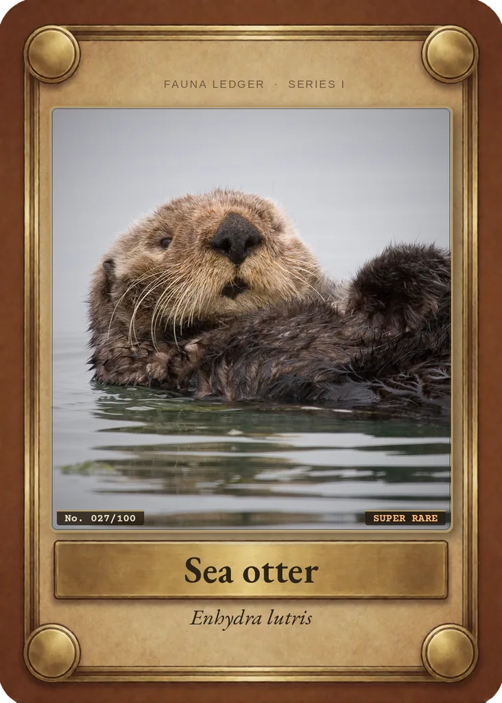Sea otter card, front