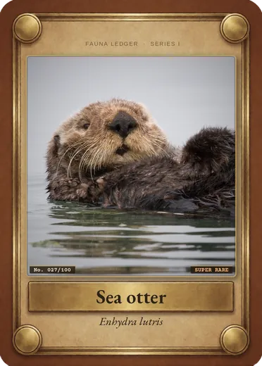 Sea otter