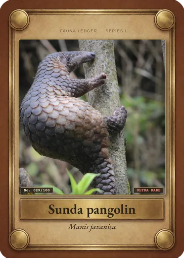 Sunda pangolin