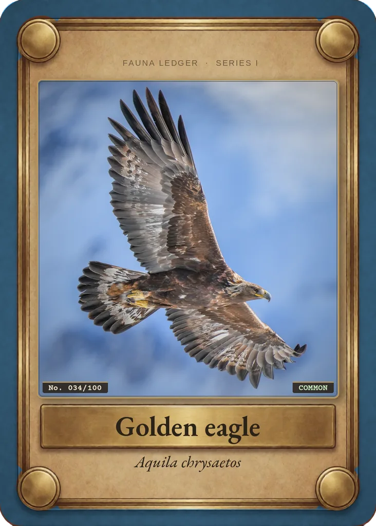 Golden eagle card, front