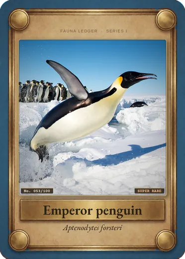 Emperor penguin