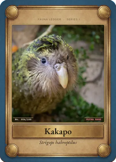 Kakapo