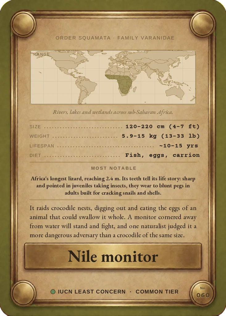 Nile monitor card, back