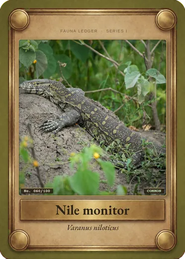 Nile monitor